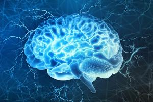 Какие продукты оказывают удивительное влияние на мозг