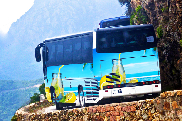 Реклама на транспорте: эффективность и виды