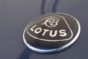 Lotus        