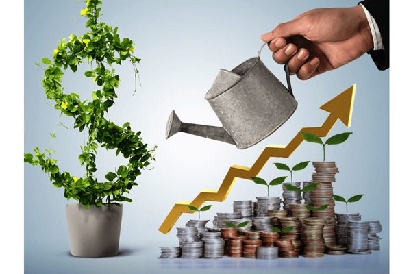 Инвестиционная программа CASHMOTOR: высокая доходность и безопасность вложений в залоговое кредитование