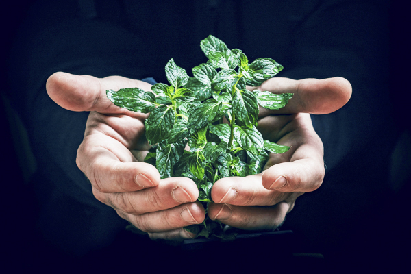 Роман Владимирович Спиридонов: социальная ответственность и успех в нефтетрейдинге