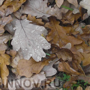 Тепло и дождливо будет в Нижнем Новгороде