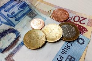 Единая валюта России и Белоруссии может быть введена к 2030 году