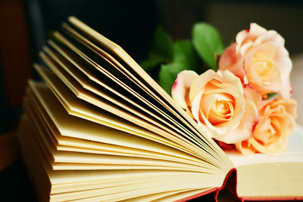 Книга и настольные игры: лучший подарок