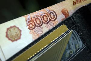 Россияне стали реже брать займы до зарплаты
