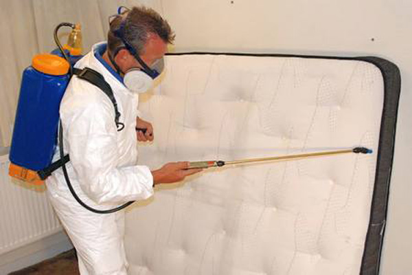 Основные методы борьбы с блохами