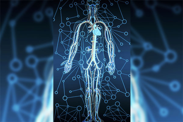 В организме могут образовываться 7 видов камней. Как это предотвратить? 