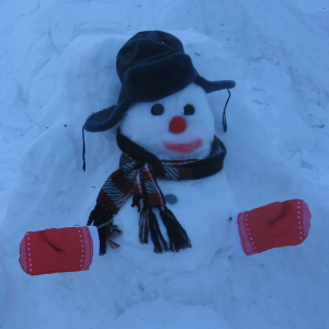 В Нижегородской области будут подведены итоги конкурса «Нижегородский снеговик»