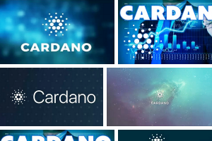  Cardano    