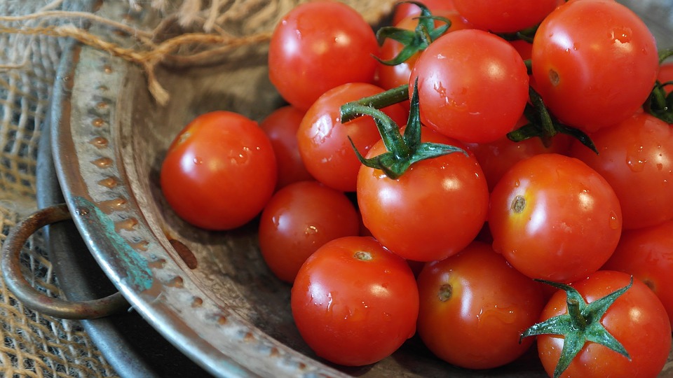 tomatoes-2559809_960_720.jpg