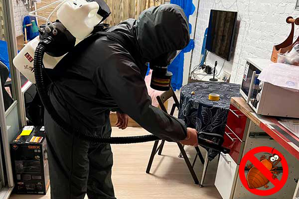 Как избавиться от клопов за 1 день