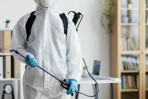 Незваные гости в наших домах: специфика обработки жилых помещений от тараканов