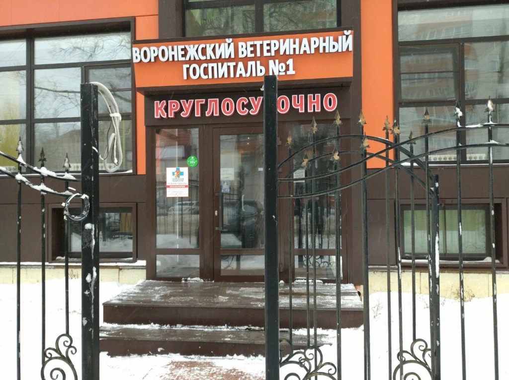 ветгоспиталь ввг1